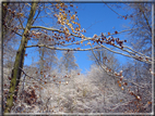 foto Parco Wilhelmshöhe in Inverno